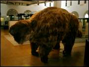 Click to display the file, CIMG0021.jpg