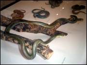 Click to display the file, CIMG0024.jpg