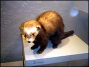 Click to display the file, CIMG0025.jpg