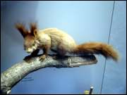 Click to display the file, CIMG0028.jpg