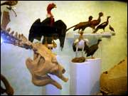 Click to display the file, CIMG0034.jpg