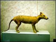 Click to display the file, CIMG0039.jpg