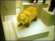 Click to display the file, CIMG0042.jpg