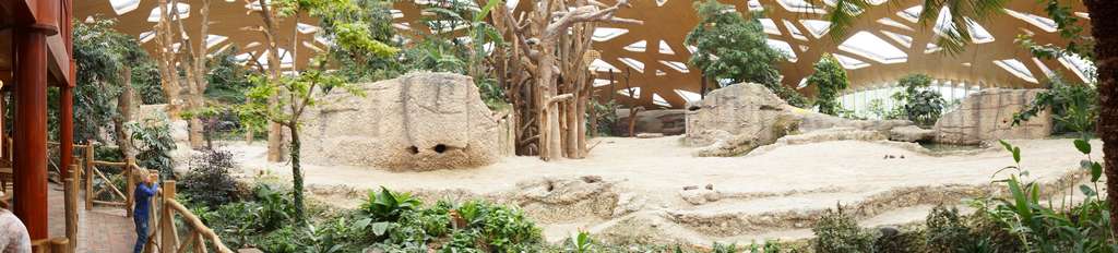 Click to display the file, DSC05644.jpg