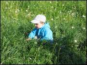 Click to display the file, IMG_4165.jpg