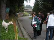 Click to display the file, DSCN0450.jpg