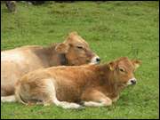 Click to display the file, DSCN0461.jpg