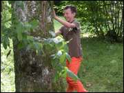 Click to display the file, DSCN7388.jpg