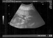 Click to display the file, DSC2_Sept13.jpg