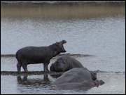 Click to display the file, DSC05066.jpg