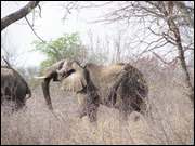 Click to display the file, DSC05087.jpg