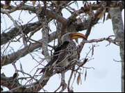 Click to display the file, DSC05094.jpg