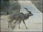 Click to display the file, DSC05149.jpg