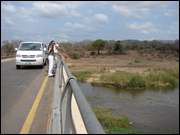 Click to display the file, DSC05161.jpg