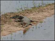 Click to display the file, DSC05166.jpg