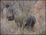 Click to display the file, DSC05210.jpg