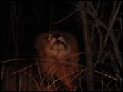 Click to display the file, DSC05228.jpg