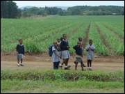 Click to display the file, DSC05258.jpg