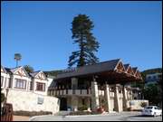 Click to display the file, DSC05437.jpg