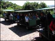 Click to display the file, DSC05453.jpg