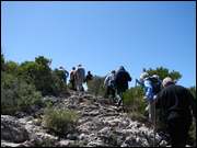 Click to display the file, DSC05464.jpg