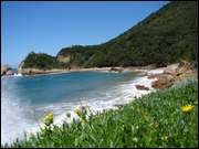 Click to display the file, DSC05478.jpg