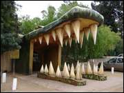 Click to display the file, DSC05508.jpg