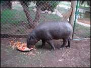 Click to display the file, DSC05512.jpg