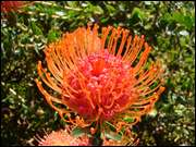 Click to display the file, DSC05642.jpg