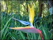 Click to display the file, DSC05648.jpg